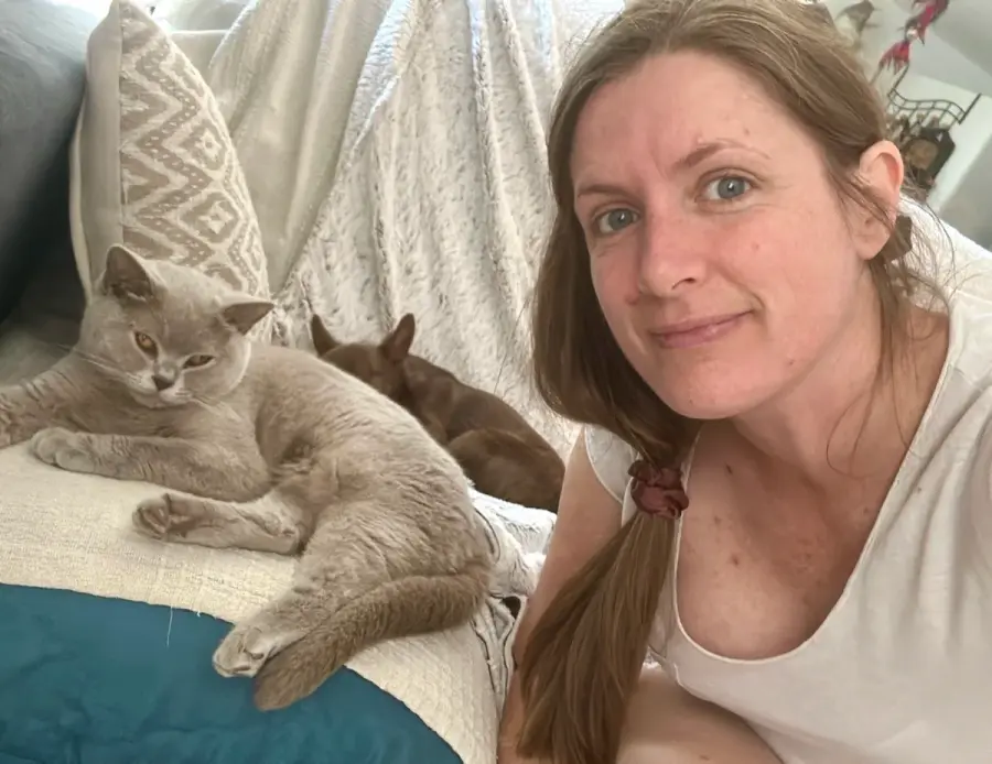 Réserver un chaton British Shorthair, étape par étape, photo 2